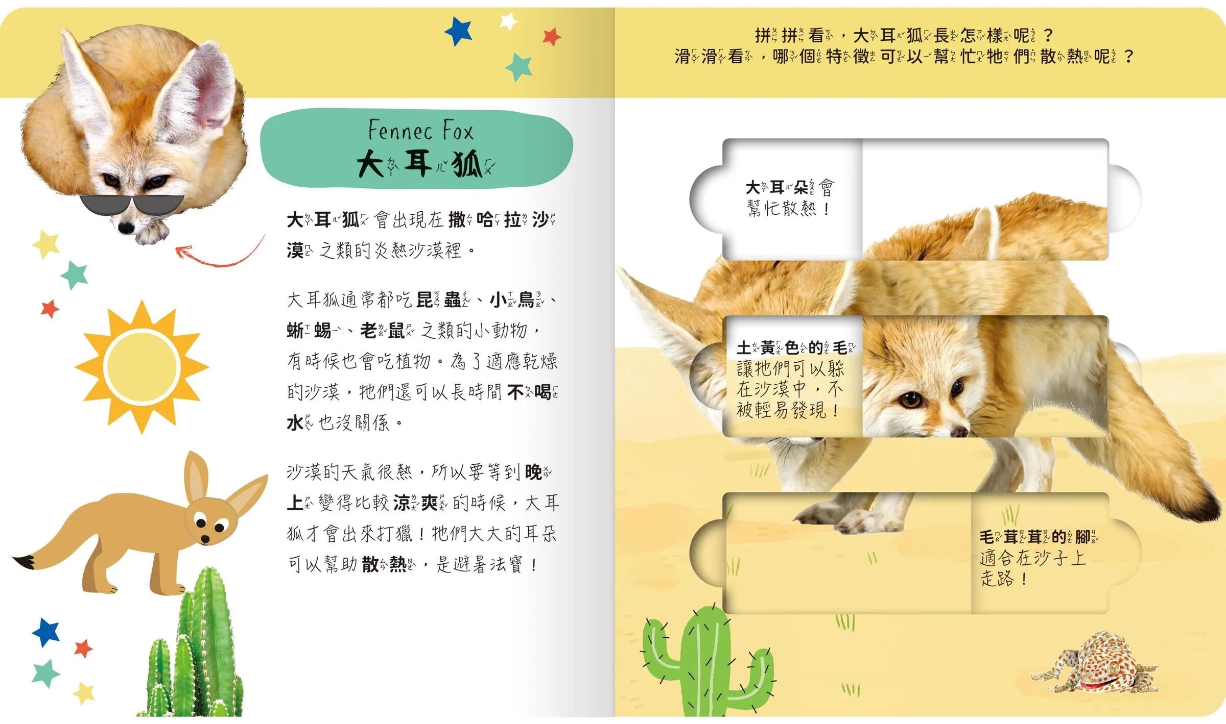 lovely puzzle-沙漠動物園